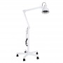 Adjustable infrared heat therapy lamp with articulated arm