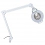 H6001 T SHR Germany Examination Light and Cosmetic Table Magnifier Lamp