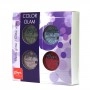 Thuya Color Glam Kit / Color Glitter Powder Set 4tlg