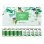 Stayve Seanergy Peel ampoules 10x 8 ml incl. free training course