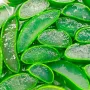 Holika Holika Aloe Soothing Essence Waterproof Sunscreen Gel SPF50+ 100 ml