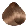 RR Line Crema Haarfarbe Nougat Intensiv 100 ml