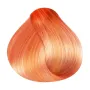 RR Line Crema Haarfarbe Intensiv Kupfer / Mittelblond 100 ml