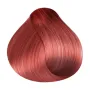 RR Line Crema Haarfarbe Intensiv Rot / Kastanie 100 ml