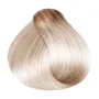 RR Line Crema Hair Color Extra Super Blonde 100 ml