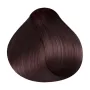 RR Line Crema Haarfarbe Intensiv Mahagoni Hell 100 ml