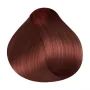RR Line Crema Haarfarbe Mahagoni mit blonder Farbtiefe 100 ml