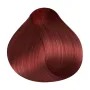 RR Line Crema Haarfarbe Mahagoni mit hellblonder Farbtiefe und violetten Reflexen 100 ml