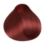 RR Line Crema Hair Color 8.52 Light Blonde Mahogany Irisé / Light Blonde Mahogany Irisé 100 ml