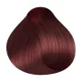 RR Line Crema Haarfarbe Mahagoni mit dunkelblonder Farbtiefe 100 ml