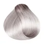 RR Line Crema Hair Color Silver / Silver 100 ml