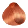 RR Line Crema Haarfarbe Kupfer Rot mit hellblonder Farbtiefe 100 ml