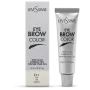 LEVISSIME Eyebrow Color I-11 Ice 15 ml