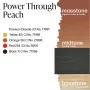 Perma Blend Luxe PMU-Areolafarbe Power Through Peach 15 ml