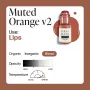 Perma Blend Luxe PMU-Lippenfarbe Muted Orange V2 15 ml