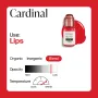 Perma Blend Luxe PMU Ink - Cardinal 15 ml