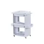 Cosmetic trolley with integrated tool holder and 2 drawers