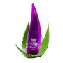 SOFTTO PLUS Aloe Vera Firming Gel / Erfrischendes Anti-Aging-Gel mit 99 % Aloe Vera 250 ml