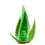 SOFTTO PLUS Aloe Vera Soothing Gel / Beruhigendes Gel 250 ml