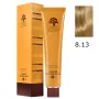 Arganmidas Moroccan Argan Oil Hair Color Cream 8.13 / Hair Color Light Ash Golden Blonde 100 ml