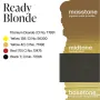 Perma Blend Luxe PMU Ink - Ready, Set, Go Pre-Modified Set - Ready Blonde 15 ml