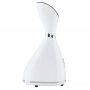 Facial steamer with nano ion technology