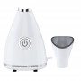 Facial steamer with nano ion technology