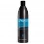 Real Star Styling Pro Fluido Lisciante / Glättendes Haarfluid 250 ml