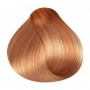 RR Line Crema Hair Color 8.43 Light Blonde Copper Golden 100 ml