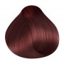 RR Line Crema Hair Color 6.5 Dark Blonde Mahogany 100 ml