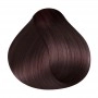 RR Line Crema Hair Color 5.55 Light Chestnut Intense Mahogany 100 ml