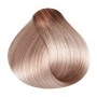 RR Line Crema Hair Color 12.2 Super Blonde Iris Extra / Superblond Iris Extra 100 ml