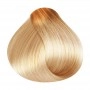 RR Line Crema Hair Color 11.3 Super Blonde Golden / Superblond Gold 100 ml