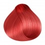 RR Line Crema Hair Color 8.66 Light Blonde Intense Red 100 ml