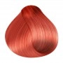 RR Line Crema Hair Color Intense Red / Medium Blonde 100 ml