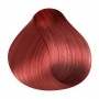 RR Line Crema Hair Color 6.66 Dark Blonde Intense Red 100 ml