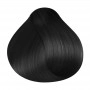 RR Line Crema Hair Color Black 100 ml