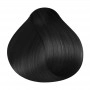 RR Line Crema Hair Color 1.0 Black 100 ml