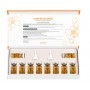 Stayve Salmon DNA Gold Ampoule / 10x 8ml Ampoules Incl. 2x Dosing Attachment