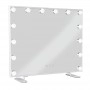 SHR Germany Hollywood vanity mirror with 14 lights 60 cm x 50 cm